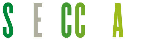 SECCA Fluid Logo Design