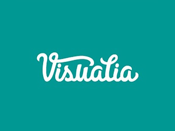 Visualia Logo