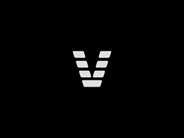 Virgo Software Logo