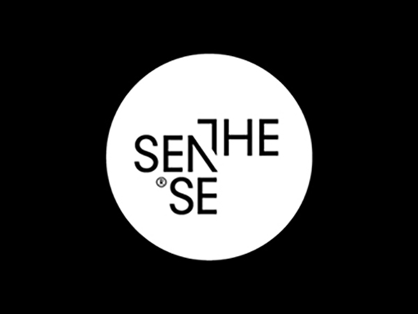 The Sense Logo