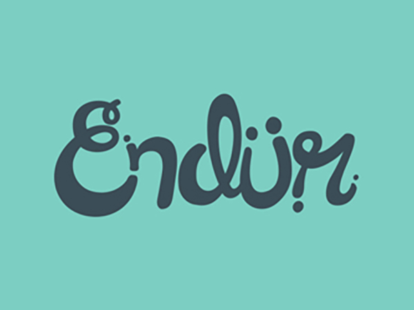 Endur Logo