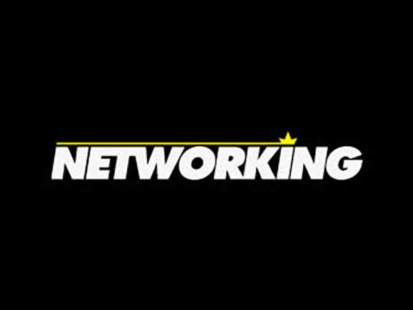 Networking Logo