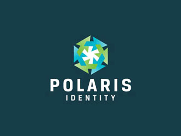 Polaris Identity Logo